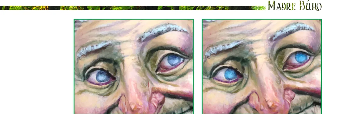 Madre Búho — Una mirada al interior 2
